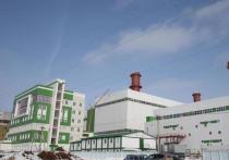 В конце 2017 года в поселке Дмитриевка Уфимского района Башкирии запустят новую теплоэлектроцентраль, которую возводит «Башкирская генерирующая компания»