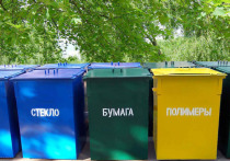 Барнаульские депутаты и общественники обсуждают, как городу начать избавляться от мусора