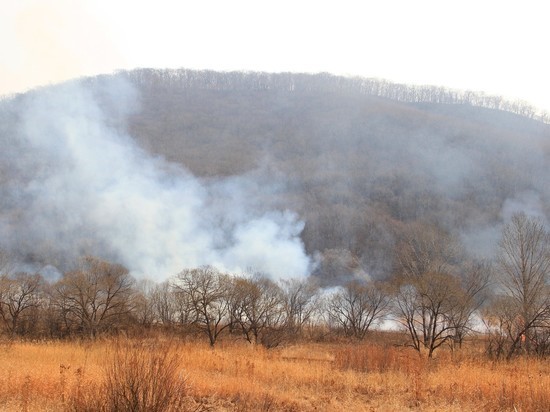 Приморские власти  взяли под контроль ситуацию  с лесными пожарами