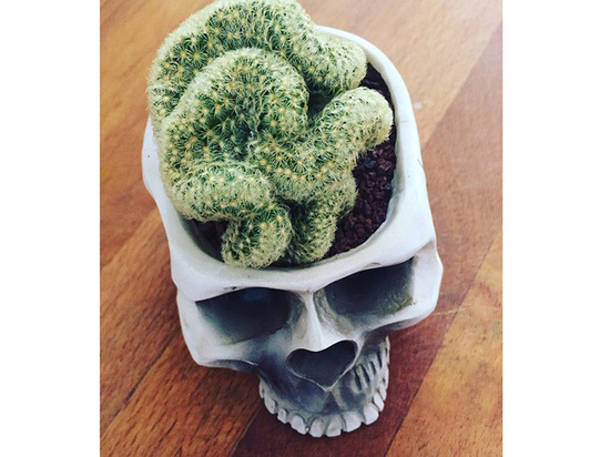 На открытие специалистов вдохновил Иван Павлов