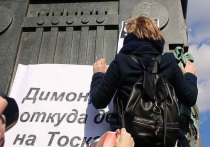 Расследование Навального, которое вывело на улицы десятки тысяч россиян, в Госдуме до сих пор считали недостойным внимания