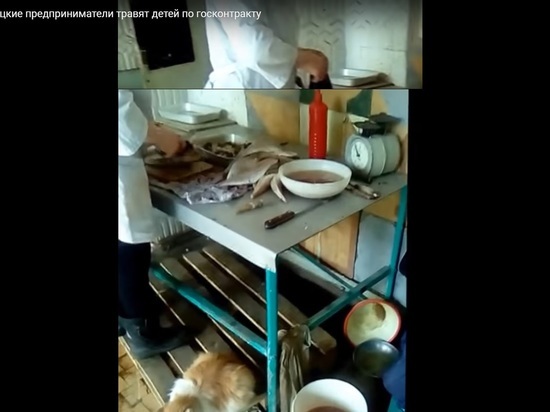 Кот помогал разделывать рыбу для детских садов в Новотроицке 