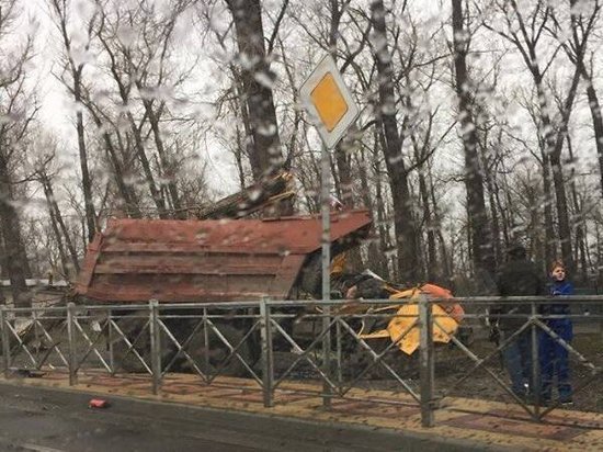  На Левобережной в Ростове дерево рухнуло на «КамАЗ»: погибли двое