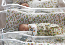 Единовременные выплаты при рождении первого, второго и третьего ребенка в Подмосковье возрастут вдвое