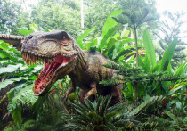 На 25-километровом участке  западного побережья Австралии группа исследователей, представляющих Университет Квинсленда, обнаружила следы, принадлежащие 21 различному виду динозавров