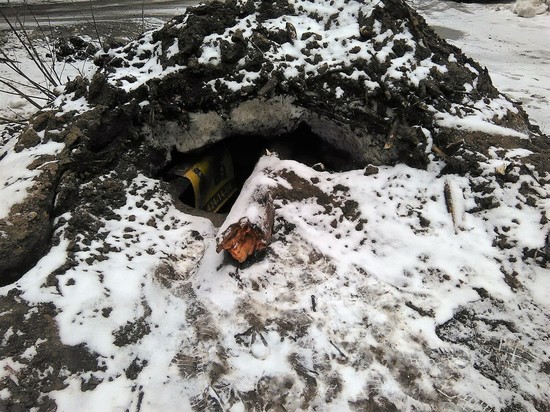 Нижегородские активисты ОНФ сообщают о незаконном сливе нечистот в Зеленом городе
