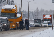Напомним: с ноября 2015 года с грузовиков, чья разрешенная максимальная масса более 12 тонн, в РФ начали взимать плату – в качестве возмещения ущерба при движении по федеральным трассам
