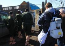 В Иркутском районе постановлением мэра от 25 марта введен режим ЧС из-за падежа 40 свиней от африканской чумы, произошедшего в одном из крестьянско-фермерских хозяйств в деревне Куда