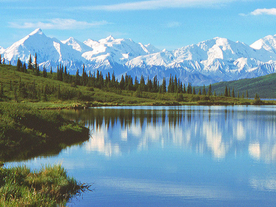 Советник штата Крейг Флинер указал на некорректность своей широко разошедшейся цитаты