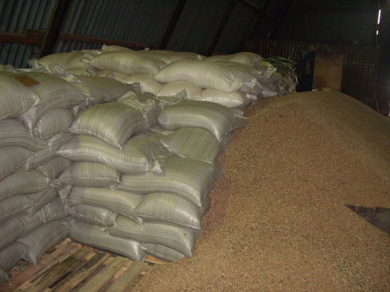 Житель Шарлыка за кражу 8 мешков пшеницы может сесть на пять лет 