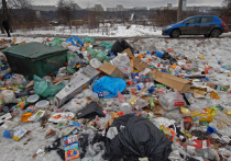 Москва и область решили объединить усилия в борьбе с незаконными свалками строительного мусора