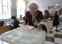 Депутаты эмоционально поспорили с ЦИК по поводу системы голосования