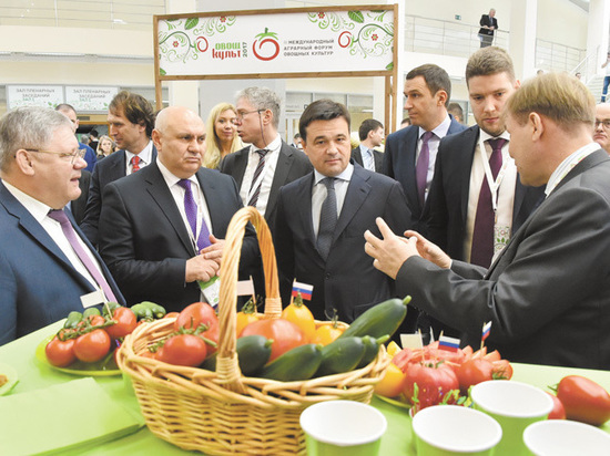 Главной темой III Международного аграрного форума «Овощкульт», который состоялся в Московской области, стала защита интересов инвесторов, вложивших средства в развитие овощеводства в регионе