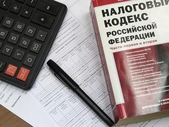 Директор Саракташского завода скрыл от налоговой около 4 миллионов рублей 