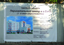 В Арбитражный суд Краснодарского края поданы иски на банкротство компаний-застройщиков объекта