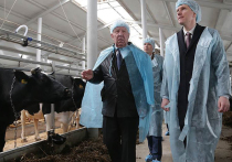 На прошлой неделе глава Прикамья проинспектировал готовность аграриев к предстоящей посевной кампании на примере сельхозпредприятий Нытвенского и Верещагинского района