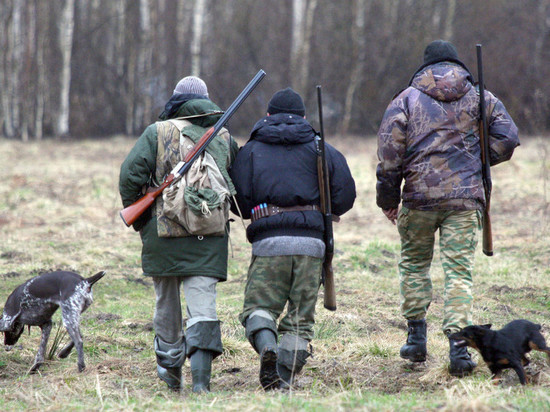 17 нижегородцев лишены права охоты из-за нарушений