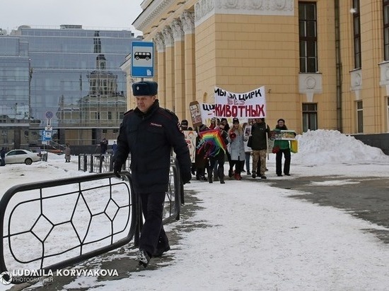 Цирк приехал: в Петрозаводске прошел митинг за цирк без зверей