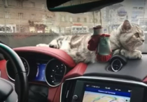 Как сообщает МЧС, вечером в воскресенье в центре Москвы, на Ростовской набережной, 5 дорогой спорткар Maserati врезался в мачту городского освещения