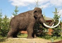 Изучая останки мамонтов, около 12 тысячелетий назад живших на территории Якутии, специалисты обнаружили что эти животные страдали от заболеваний, связанных со скелетной системой