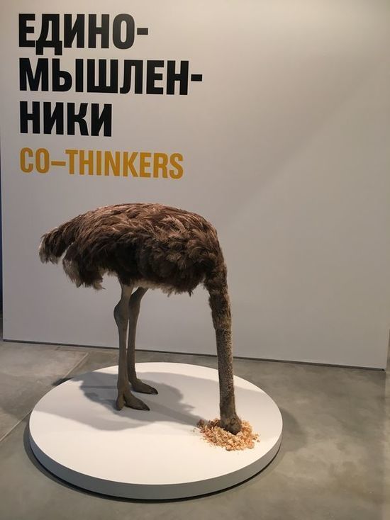 Премия «Инновация» объявила номинантов: о чем думали члены экспертного совета Премия «Инновация» объявила номинантов: о чем думали члены экспертного совета