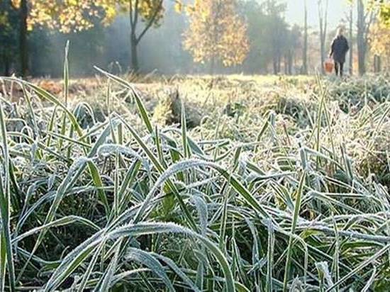 В Ростовской области прогнозируется похолодание до -4