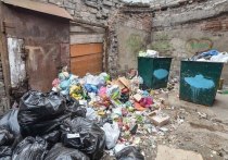 В самом сердце Владивостока, по адресу Мордовцева, 8, больше месяца не вывозится мусор, сообщает «МК во Владивостоке»
