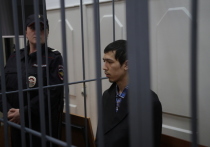 Задержанный в Московской области подозреваемый в организации теракта в петербургском метро признал свою вину