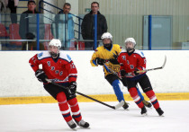 Завершились ледовые баталии в КХЛ, в хоккейных первенствах России; близится к финишу и открытое первенство Новосибирска по хоккею среди команд детско-юношеских школ