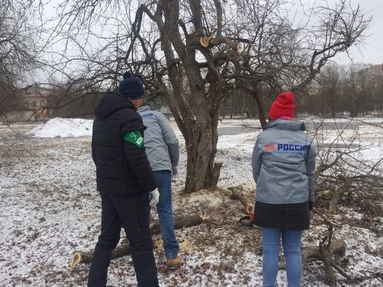 Активисты регионального отделения Общероссийского народного фронта вышли на субботник по уборке Ковыринского парка в Вологде