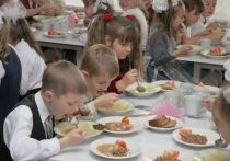 Уполномоченный по правам человека в Иркутской области Валерий Лукин назвал богоугодным делом инициативу мэра Иркутска, который внес законопроект об улучшении качества бесплатного школьного питания для детей из малообеспеченных и многодетных семей