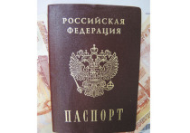 В Госдуму внесен законопроект, который позволит отбирать российское гражданство у осужденных по более чем двадцати статьям Уголовного кодекса