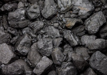 Глава Министерства энергетики и угольной промышленности Украины Игорь Насалик сообщил о подаче в правительство страны пакета документов, необходимых для введения запрета на импорт угля из России