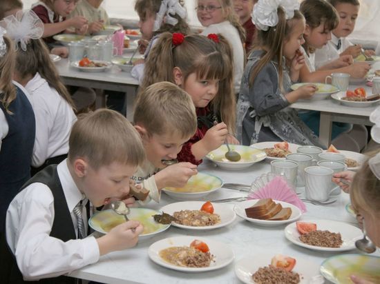 Законопроект мэра Иркутска о питании школьников рассмотрят на сессии областного парламента