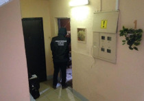 Тела женщины и ее сына были обнаружены в четверг в квартире в столичном районе Тропарево-Никулино