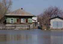 По данным регионального ЦГМС на 8:00 21 апреля, за сутки уровень воды в Оби вблизи Барнаула на 9 см приблизился к критической отметке, составив 525 см