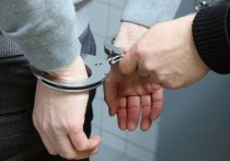 В 2014 году Селезнева арестовали на Мальдивах и вывезли в США. У него нашли данные более миллиона украденных номеров кредитных карт