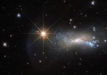 На сайте, посвященном работе орбитальной обсерватории «Хаббл», был опубликован снимок звезды TYC 3203-450-1, свет от которой является столь ярким, что перекрывает излучение от галактики NGC 7250
