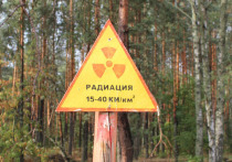 Для одних Чернобыль - зараженная радиацией территория, мертвая зона, где нет места ничему живому