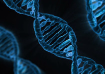 Сегодня в мире отмечают День ДНК