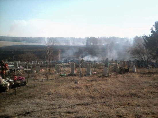 В Зиминском районе сгорело 11 гектаров леса из-за разведенного костра на кладбище