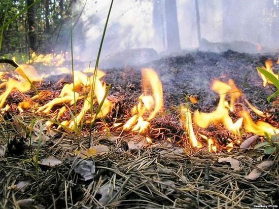 Противопожарный режим вводится в Нижегородской области с 28 апреля