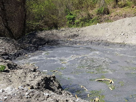 Фото и видео в доказательство фактов загрязнения рек сочинцы выкладывают в соцсети