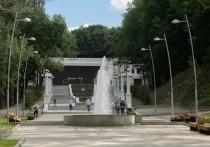 Мэрия Воронежа объявила аукцион на строительство четырех парковочных площадок рядом с Центральным парком