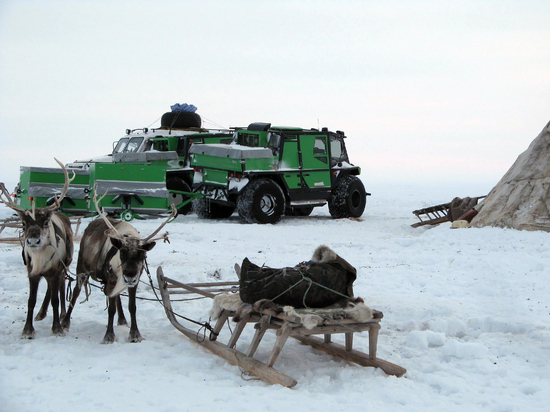 Коренные жители Ненецкого автономного округа обескуражены популистской акцией экологов