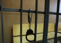 Сегодня в Петербурге по делу о секс-скандале задержали Наталью Федорову, директора «Центра содействия семейному воспитанию №8»