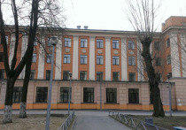 Утром 27 апреля в Санкт-Петербурге задержали еще одну подозреваемую по по делу о надругательствах над воспитанниками детского дома