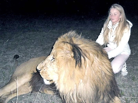 Для Меган Вернер устроили ночное свидание со львами 