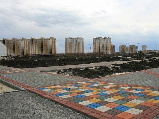 Тамбовчане продолжают отстаивать Олимпийский парк, который планируют застроить многоэтажками