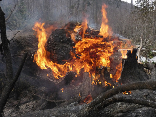 Инспекторы «Заповедного Прибайкалья» обнаружили пожар в Прибайкальском национальном парке 